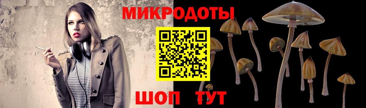Галлюциногенные грибы Psilocybine cubensis Сосновоборск