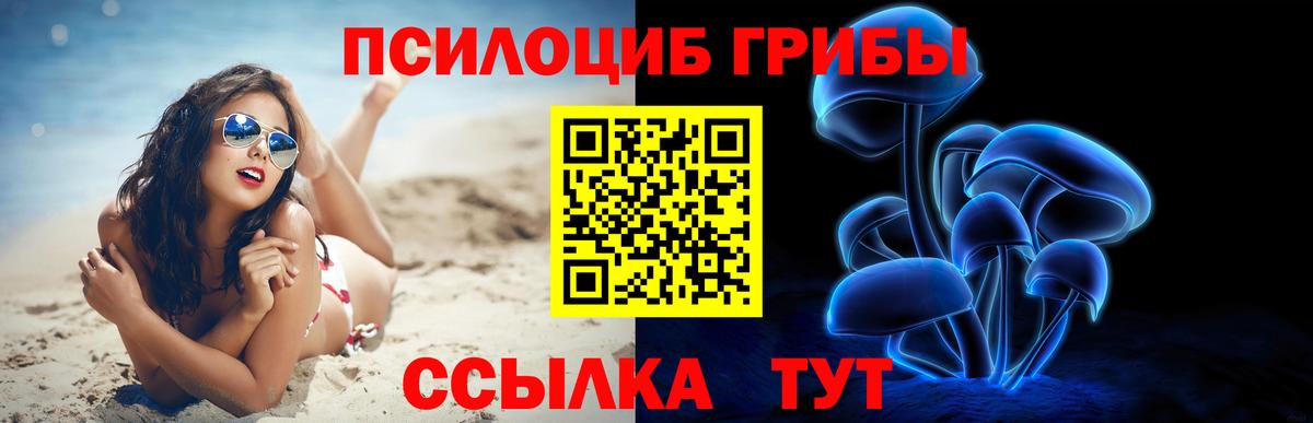Сосновоборск  Псилоцибиновые грибы ЛСД  Вход с VPN  Псилоцибиновые грибы мухоморы 